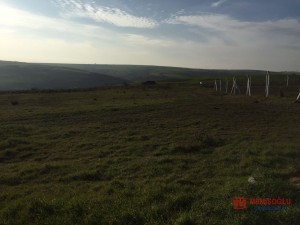 90789db1_3dce_4ef6_a826_344328df1951 (2).jpg
